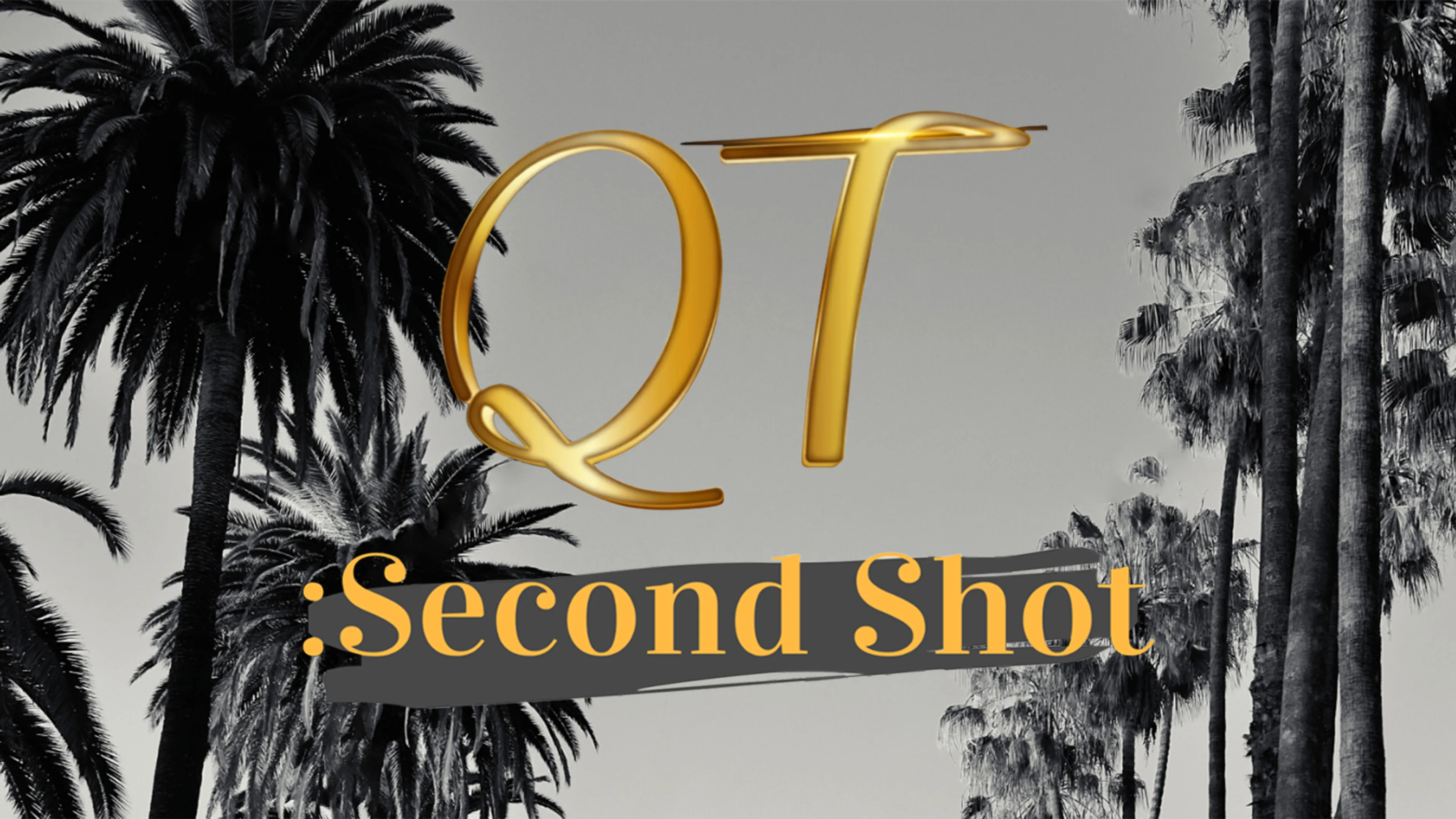 QT: Second Shot poster